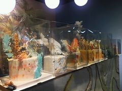 -风甜日暖·星座主题甜点(东二环泰禾店)