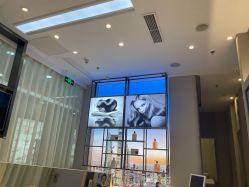 -Mr.JUDY洗个头发