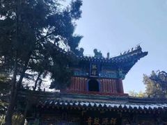 -洛阳白马寺