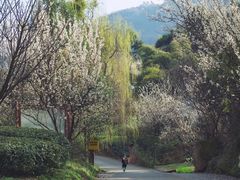 -樱桃山旅游景区