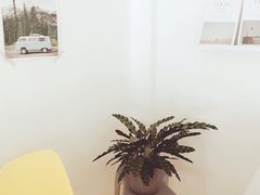 -隹木咖啡馆(宝龙广场店)