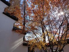 -上海醉白池公园