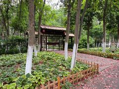 -艾溪湖湿地公园