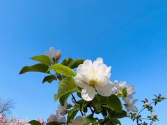 -元大都城垣遗址公园