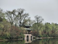 -棠湖公园