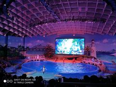 -海合安武汉极地海洋公园