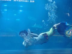 -石家庄海洋公园