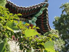 -京东石林峡风景区