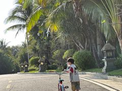 -海南清水湾莱佛士酒店