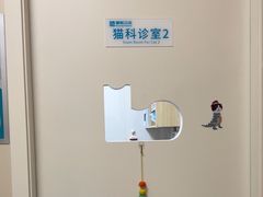 -美联众合爱康动物医院•复杂内科•肿瘤科•牙科•腔镜诊疗中心