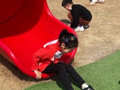 -菊园百果园