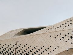 -南京国际青年文化中心