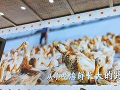 -虎婆冷饮店·海南特色炒冰(三亚湾店)