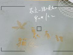 -猫里有甜