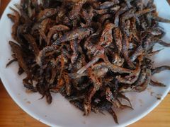 -黄牛肉馆·皖南土菜