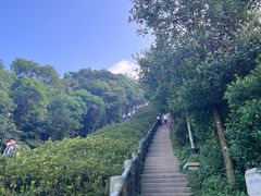 -梧桐山风景名胜区