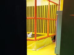 -不可思议减压馆·解压博物馆·摔碗发泄·团建定制