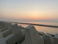 -南汇新城海滩