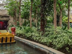 -南宫五洲植物乐园