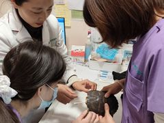 -瑞派·关忠动物医院·异宠专科·犬猫肿瘤·皮肤专科(望京店)