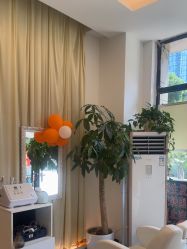 点击看大图 -妍理·植物养发