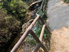 -莫里热带雨林景区
