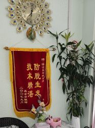 -博士园养发馆