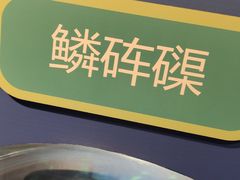 -海合安武汉极地海洋公园