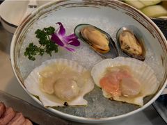 新西兰青口-喜聚薈·花膠雞海鮮火鍋(越秀店)