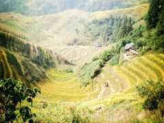 -龙脊梯田