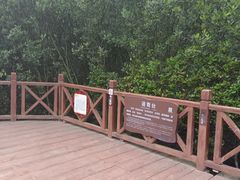 -大亚湾红树林城市湿地公园