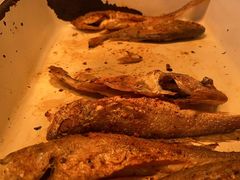 -嘉定凯悦·咖啡厅