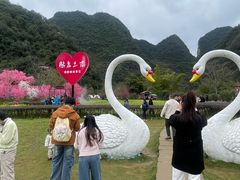 -靖西鹅泉风景区