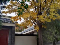 -阳台山自然风景区