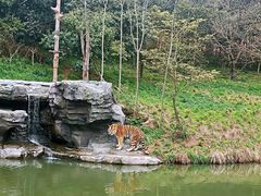 景点-宁波野生动物园