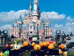 -上海迪士尼度假区