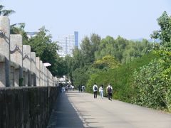 -深圳湾公园(南山区)