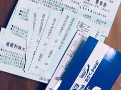 -岚山嵯峨野观光小火车