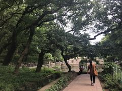 -普陀山风景名胜区-法雨禅寺