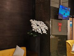 -上海大宁福朋喜来登酒店大堂吧(共和新路店)