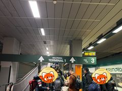 -米兰马尔彭萨国际机场