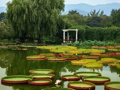 -国家植物园南园