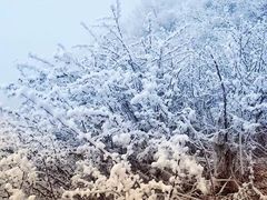 -峨嵋山金顶
