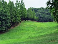 -成都保利公园皇冠假日酒店(熊猫基地店)