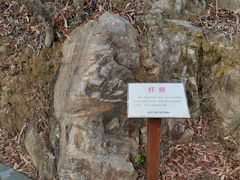 -羚羊峡古栈道森林公园
