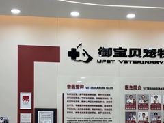 -御宝贝24h宠物医院·转诊中心·CT核磁血透中心(厦门总院)
