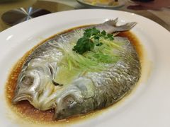 -东国海鲜火锅城(氹仔店)
