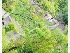 -都江堰中华大熊猫苑