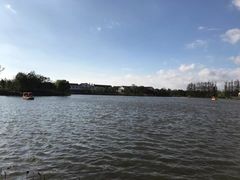 -上海长兴岛郊野公园