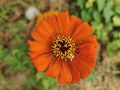 -东天目山风景区